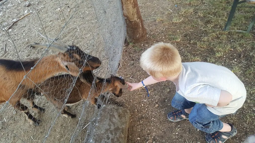 Marie Hession_Agriturismo La Montina_Monzambano_review