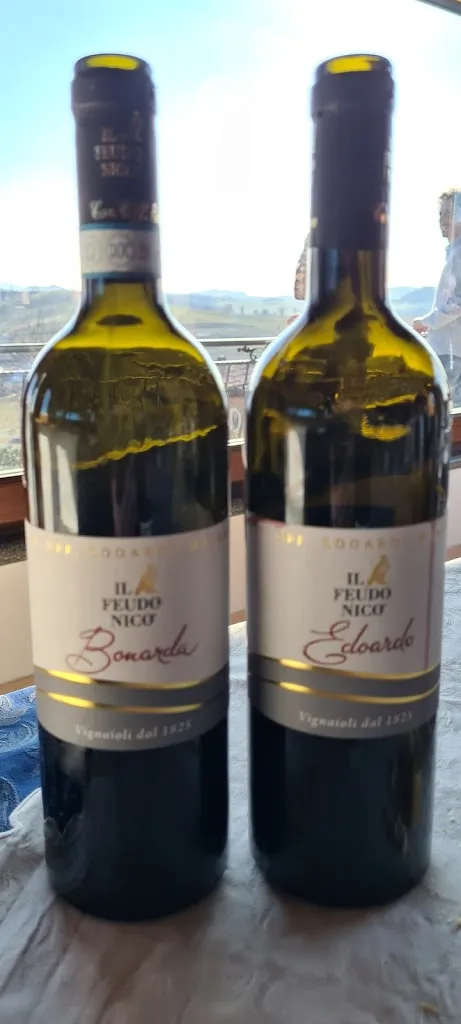 Menu_Azienda Agricola Ristorante Il Feudo Nico_Mornico_image_8