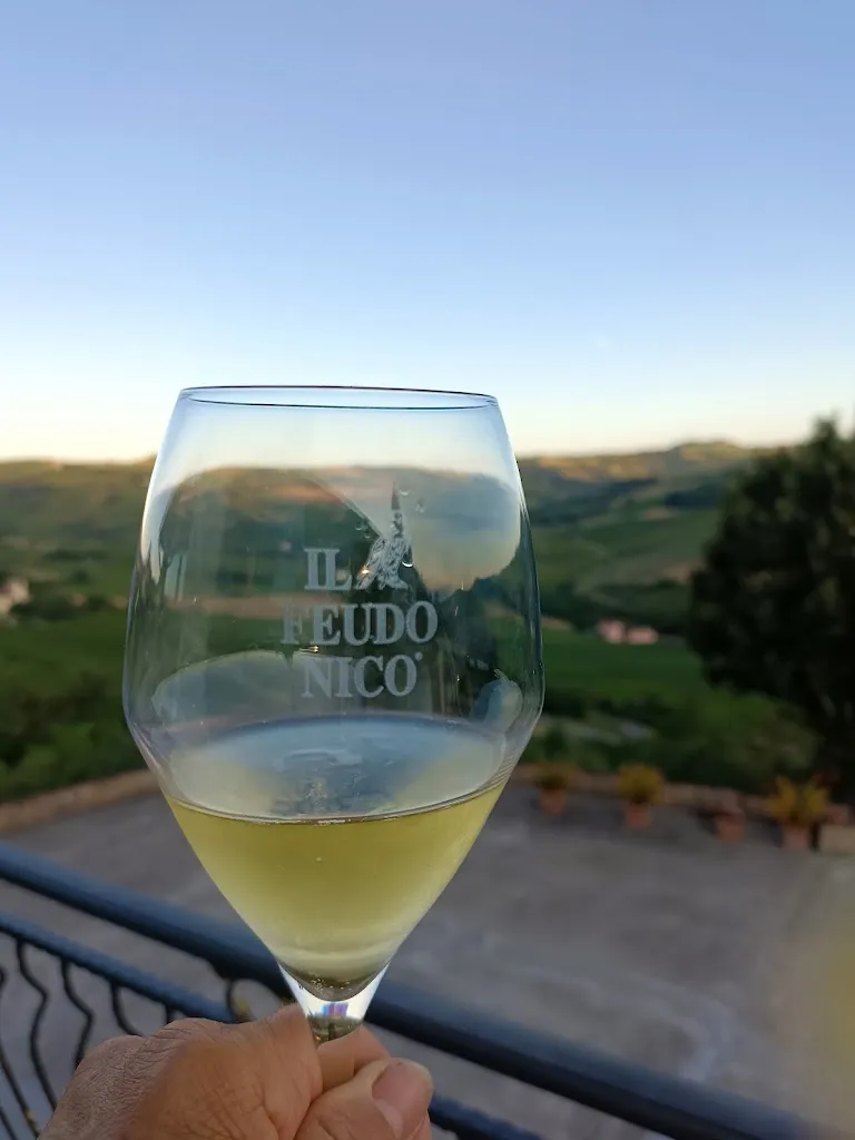 MIEKE vermolen_Azienda Agricola Ristorante Il Feudo Nico_Mornico_review