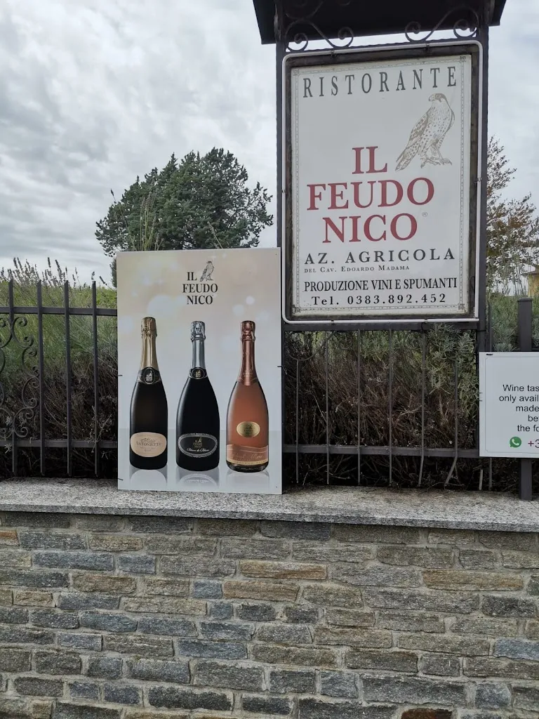 Marco Picozzi_Azienda Agricola Ristorante Il Feudo Nico_Mornico_review