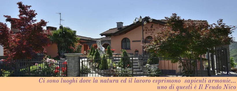 Azienda Agricola Ristorante Il Feudo Nico_Mornico_slider_image_3