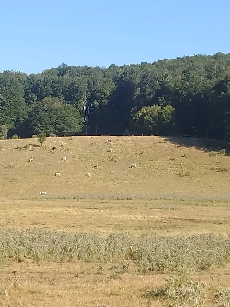 Genoveffa Solinto_Azienda agrituristica Rio Torto_Alfedena_review