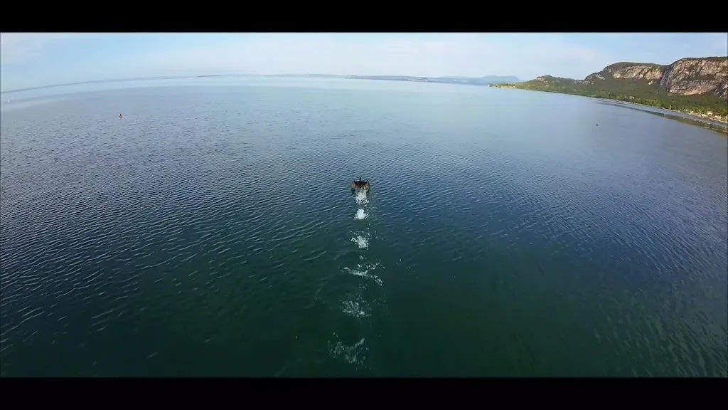 Garda Hotel restaurant in Montichiari