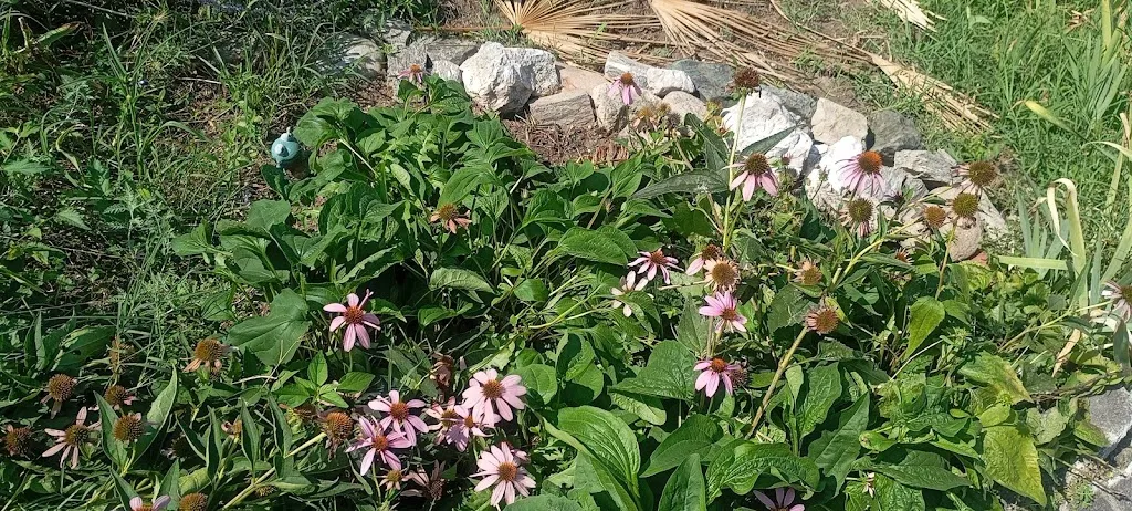 tere papa_La Casetta_Mozzanica_recensione