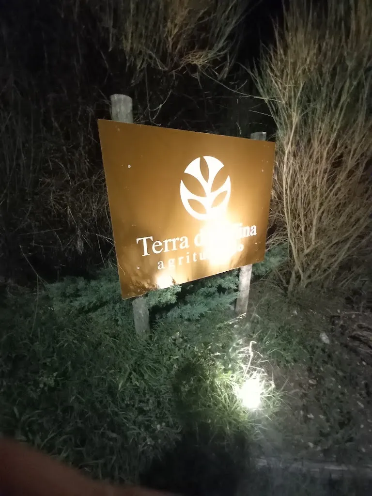 Antonio Napolitano_Farm Land of Solina_Capestrano_review