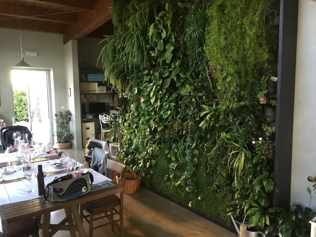 Farm Land of Solina_Capestrano_slider_image_3