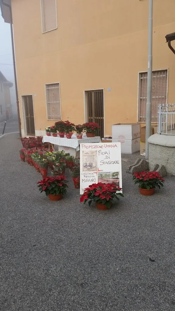 C'è pizza per te_Mulazzano_slider_image_3