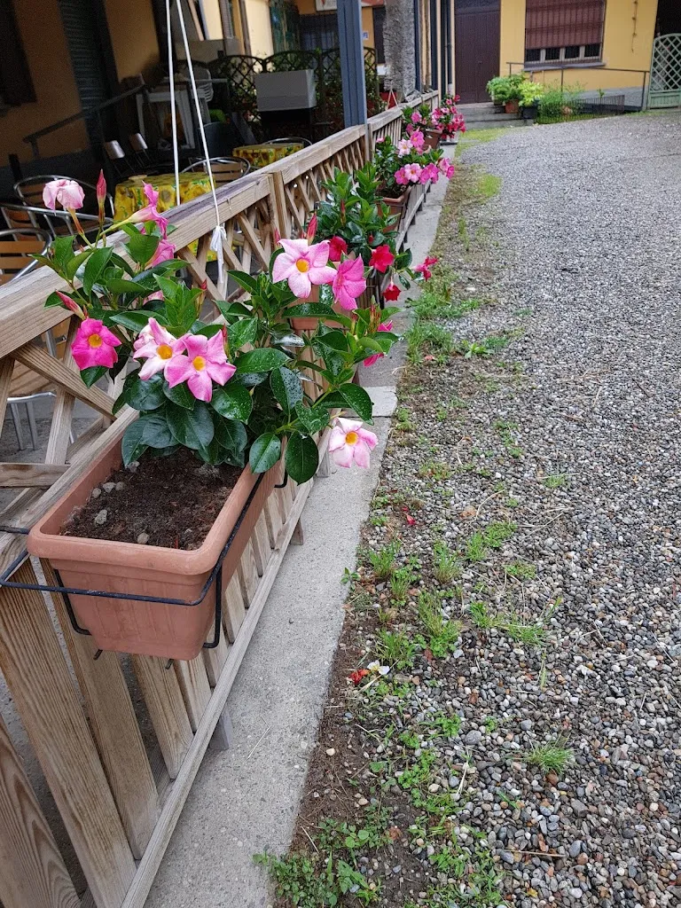 Bar Pizzeria Lo Scoiattolo_Nosate_slider_image_3