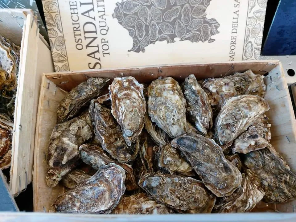 Menu_SCIUSCIA ' RESTAURANT_Noverasco-Sporting Mirasole_image_8