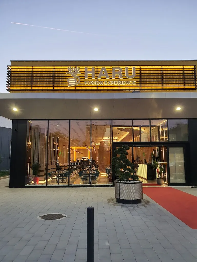 Hey ! Louis_Haru Asian Fusion Restaurant_Noverasco-Sporting Mirasole_review