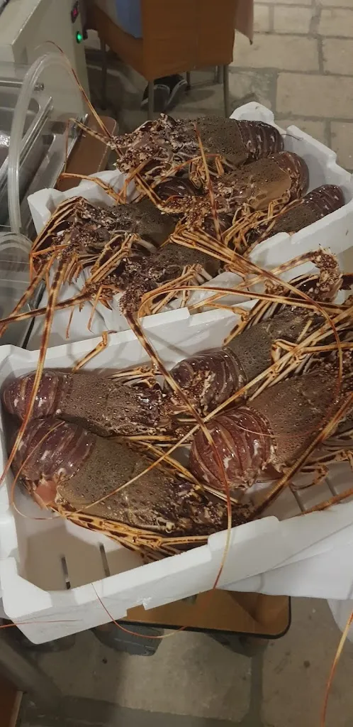 Menu_La Locanda dei Camini_Botrugno_image_8