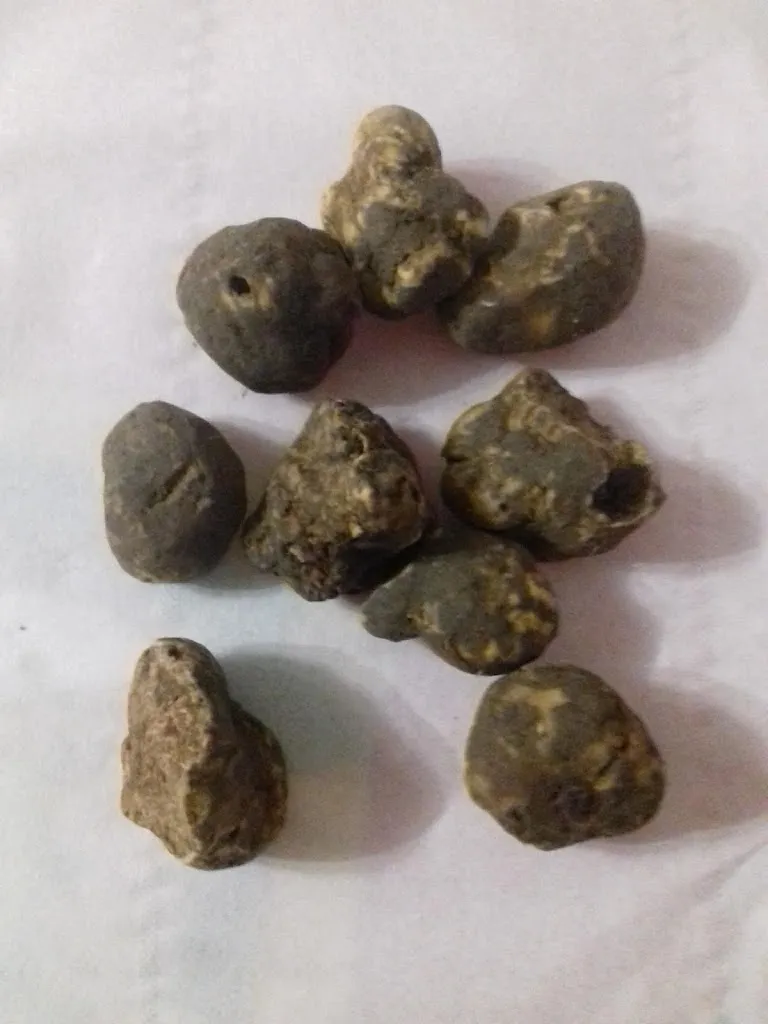 Menu_Piccolo Arco_Nova Milanese_image_3