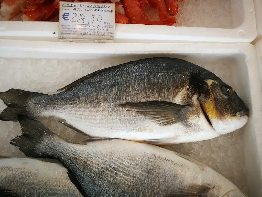 Pescheria Amodeo_Nova Milanese_slider_image_2