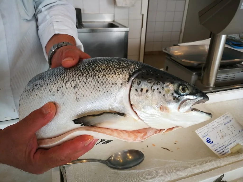 Pescheria Amodeo_Nova Milanese_slider_image_3