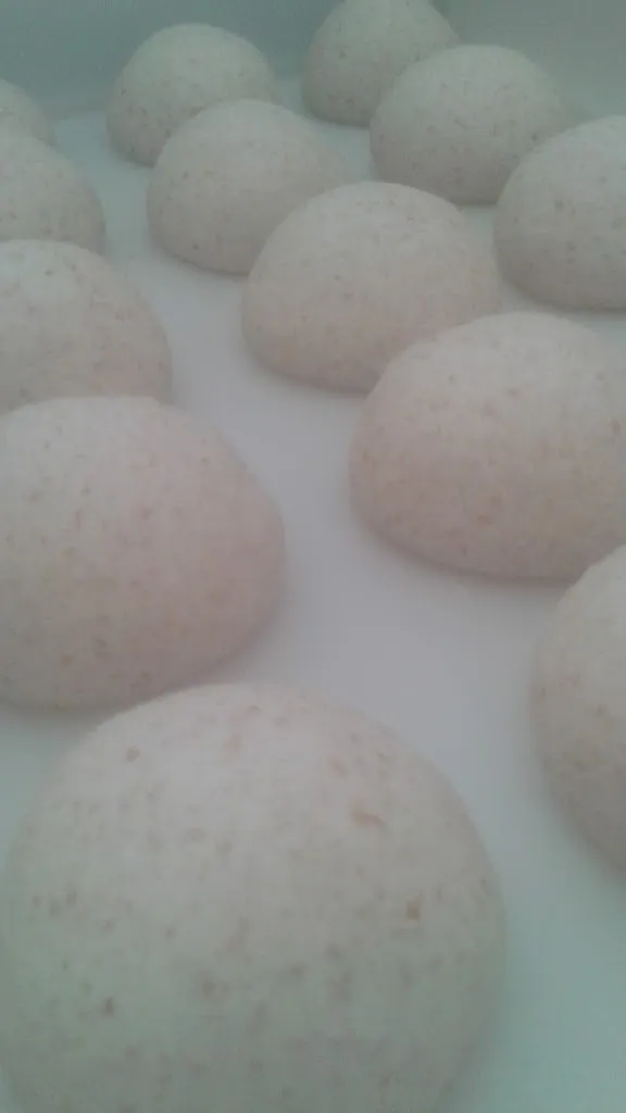 Menu_Pizza Story_Nova Milanese_image_5