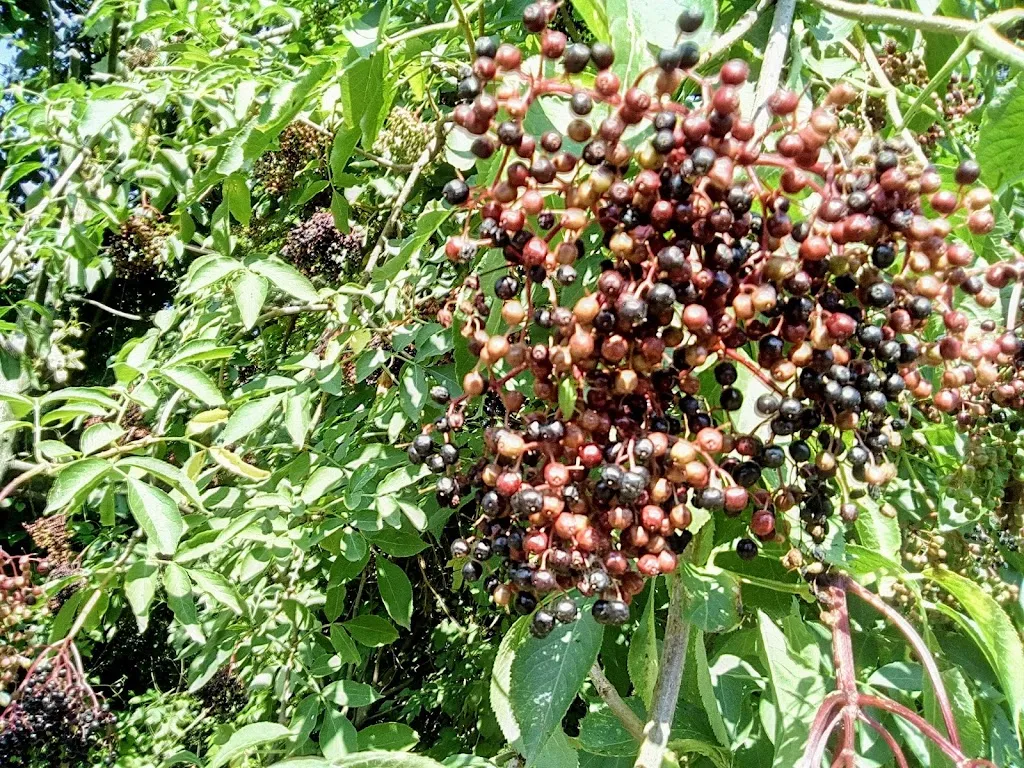 Doc Bar_Offlaga_slider_image_2