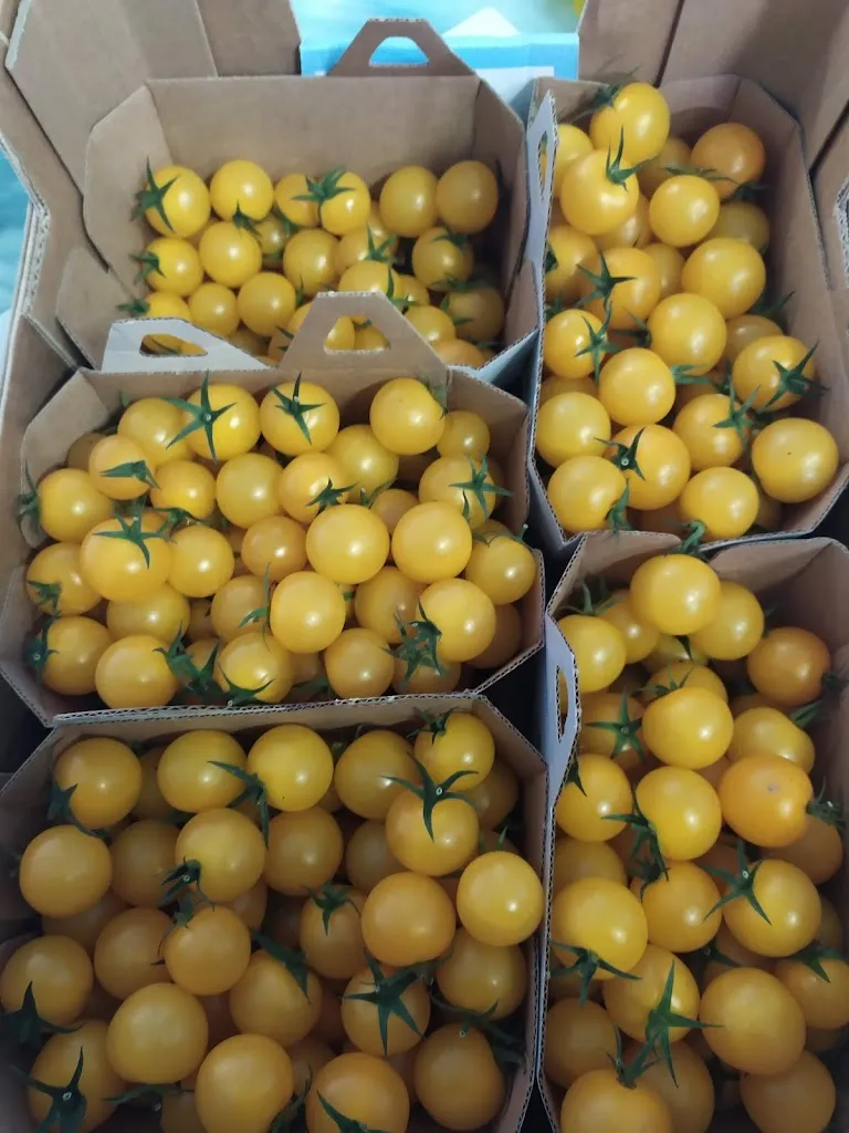 Menu_Acqua Farina e Pummarola_Offanengo_immagine_8