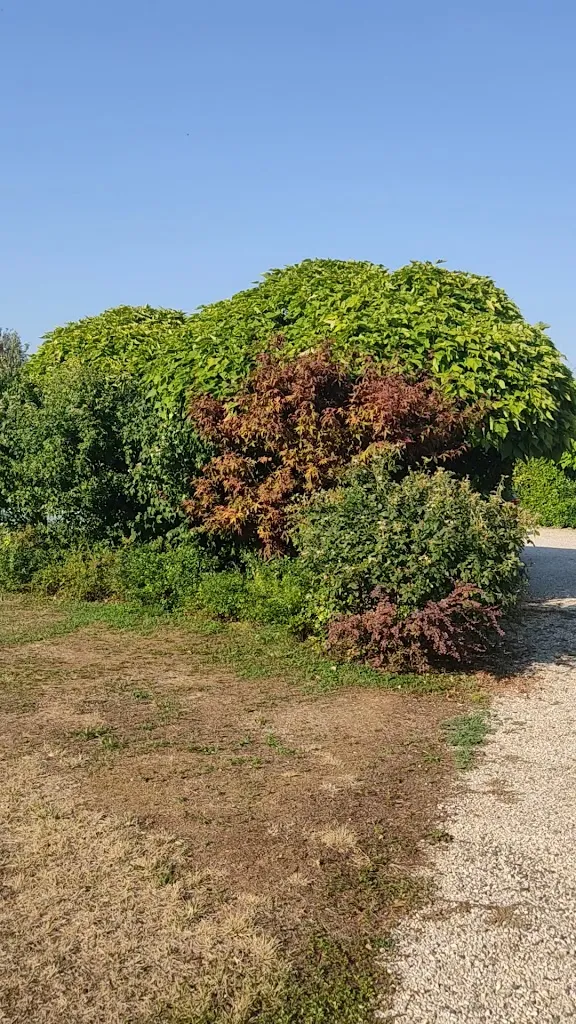 Bed and Breakfast Al Mulino_Nuvolento_slider_image_1