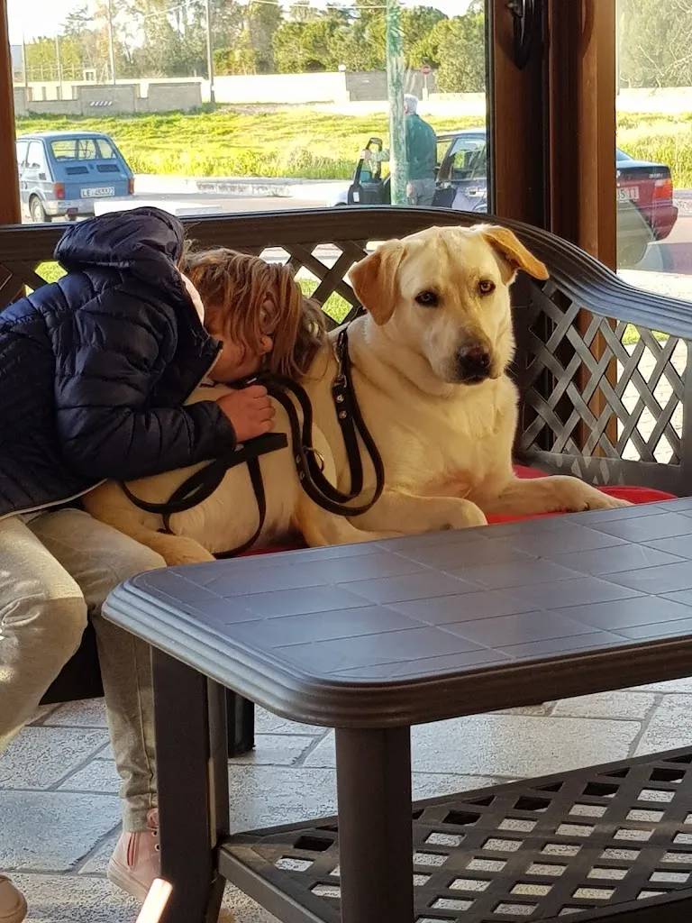 Chiosco Bar Loredana Di Mariano & C. S.A.S._Botrugno_slider_image_2