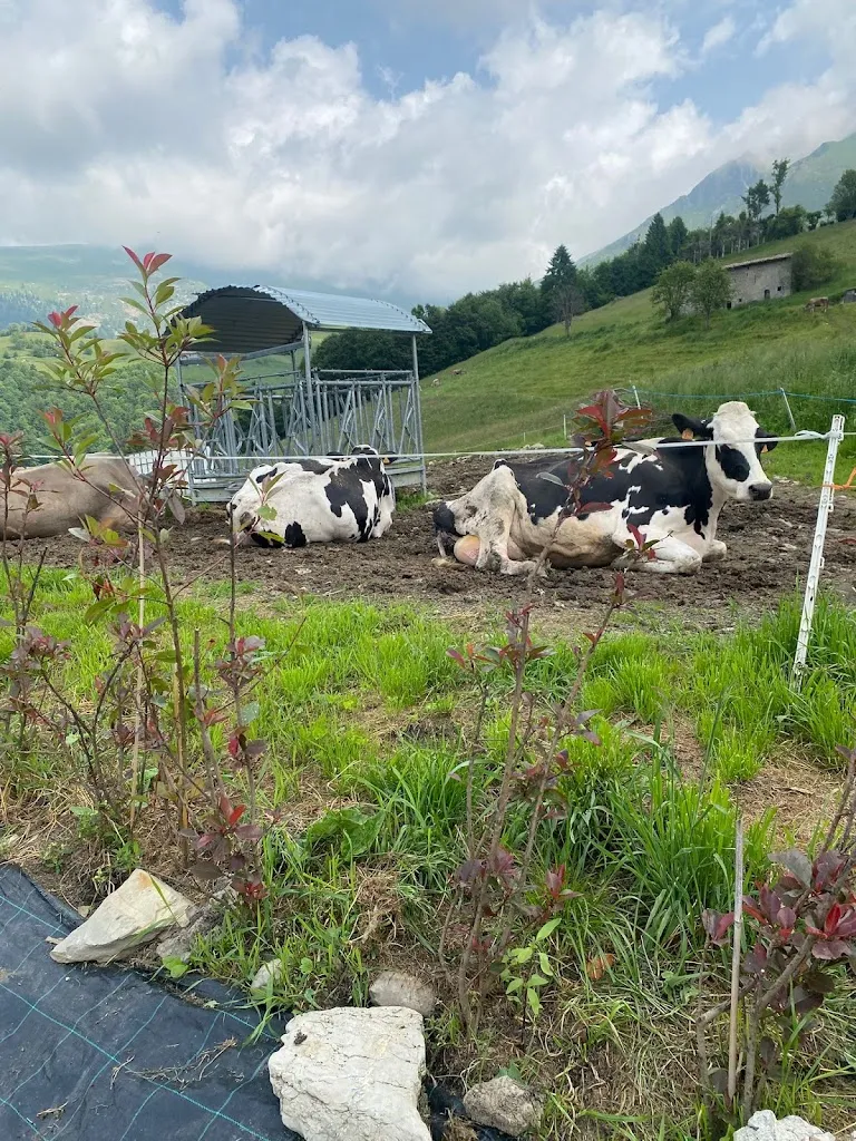 Roberta Tessadori_Ristorante - Pizzeria Quattro Cime_Oltre Il Colle_review