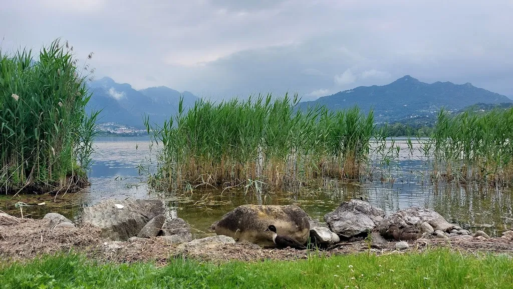 Il Chiosco_Oggiono_slider_image_2