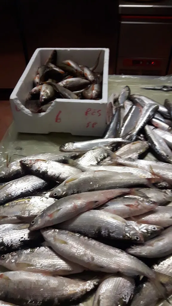 Menu_Trattoria San Giacomo_Ossuccio_image_4