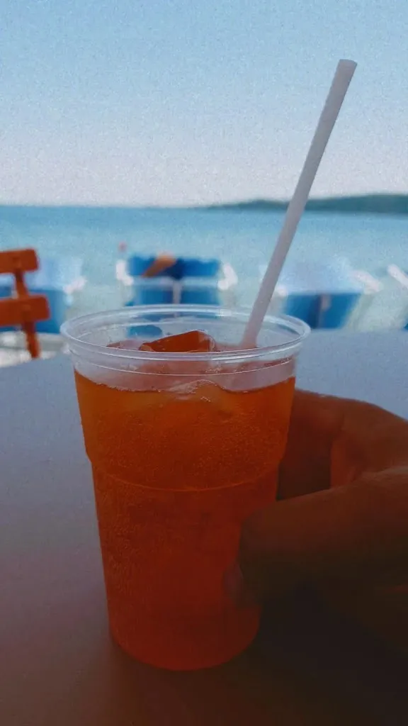 Menu_Copelia_Padenghe sul Garda_image_5