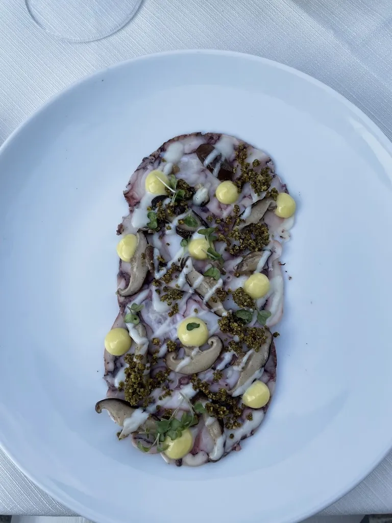 Yevgeniya Timofeyeva_Dal Dosso Miralago_Padenghe sul Garda_review