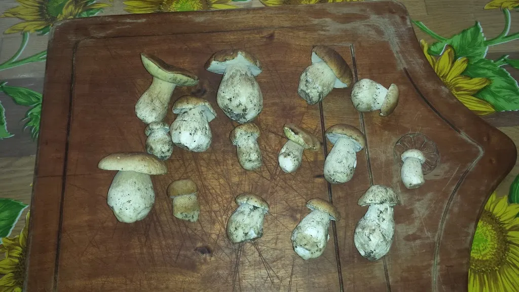 Menu_Avano (lc)_Pagnona_image_9