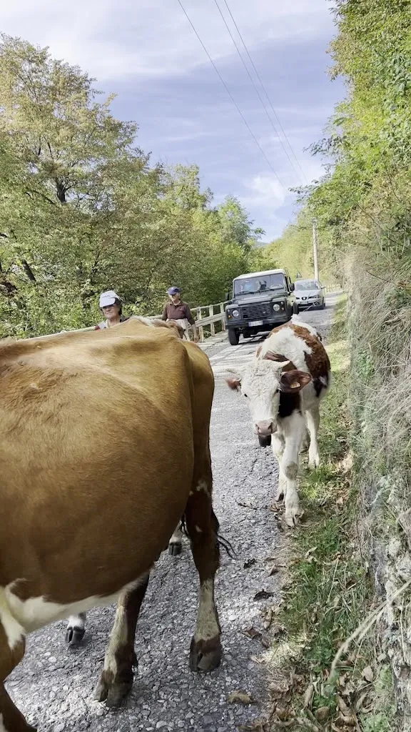 Avano (lc)_Pagnona_slider_image_2