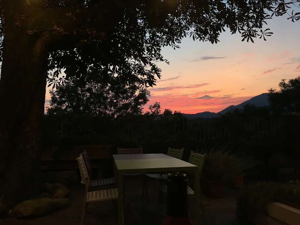 Polina _Casa Leone trattoria_Paladina_review