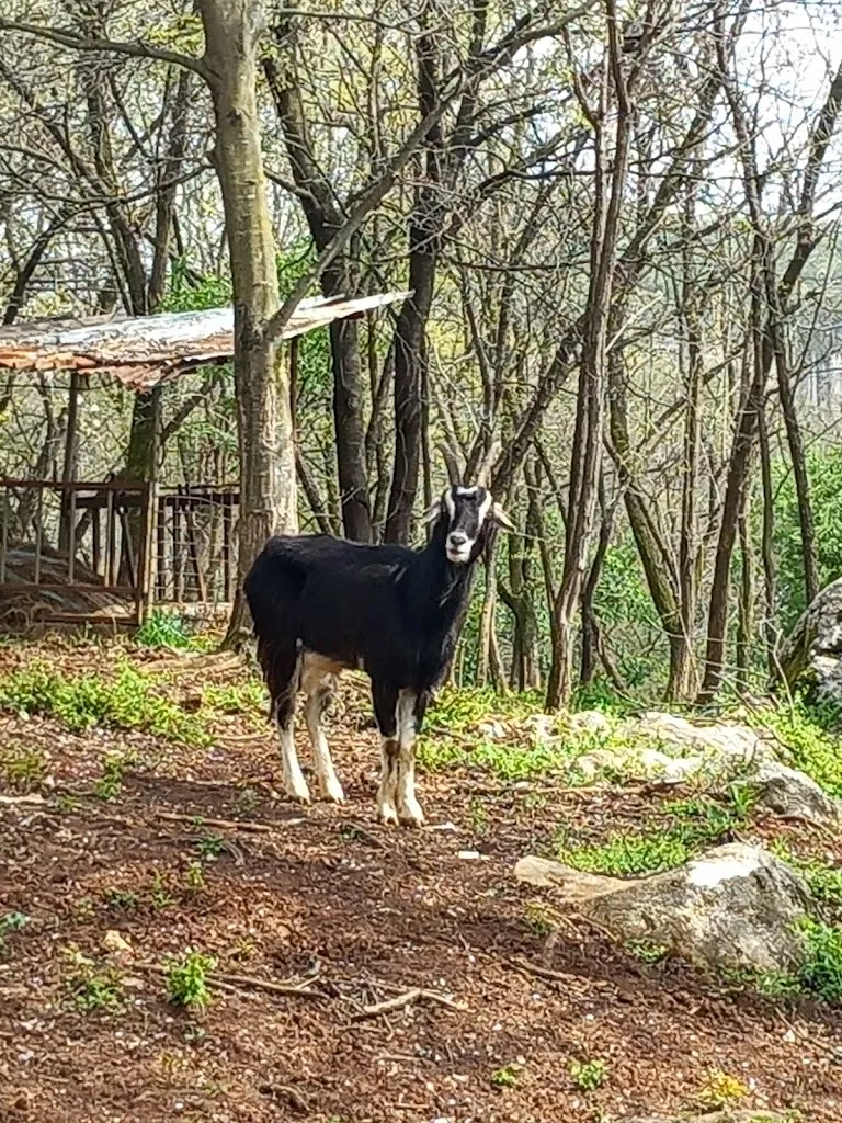 Agriturismo El Cioci_Paitone_slider_image_2