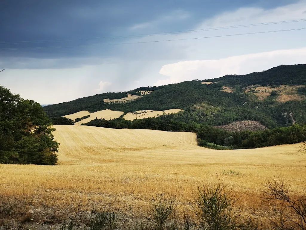 Daniela Mandler_Villa Pignano Restaurant - Stella verde Michelin_Palazzo Pignano_review