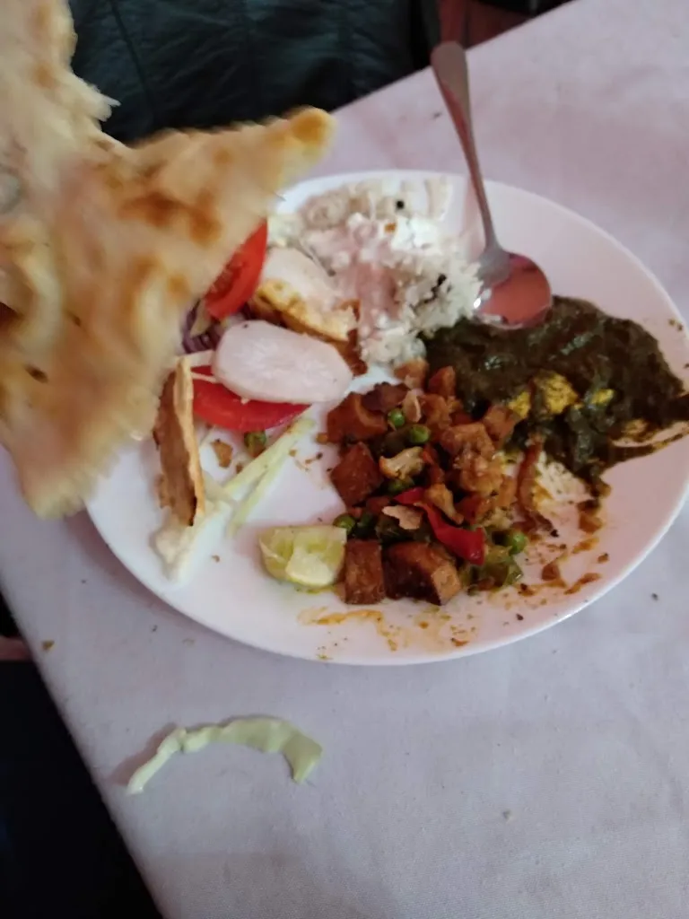 Menu_Saini palace bar & restautante indiano_Palidano_image_2