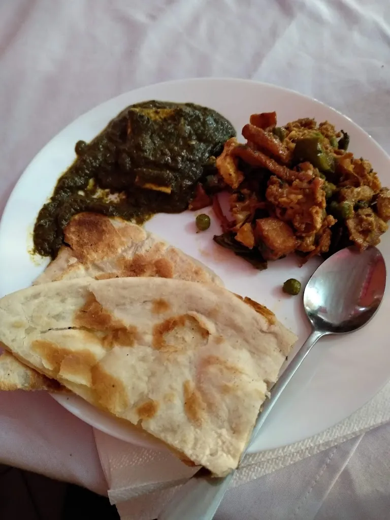 Menu_Saini palace bar & restautante indiano_Palidano_image_4