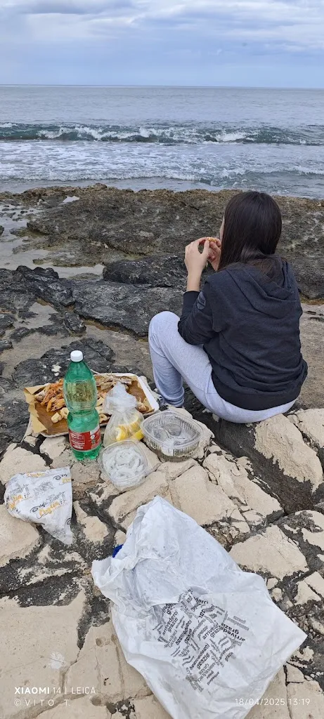 V. T._Lafortezza Gregorio_Bitonto_recensione