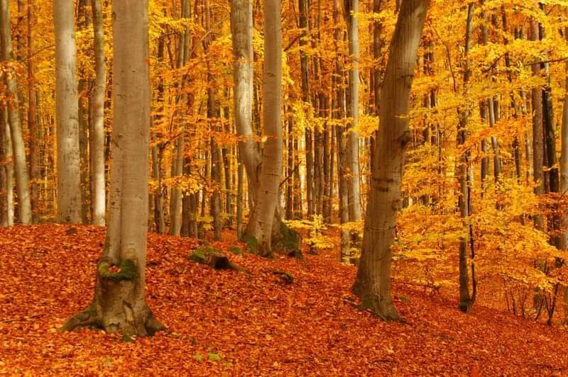 Giovanni Rizzi_Rifugio amici miei_Pertica Bassa_review