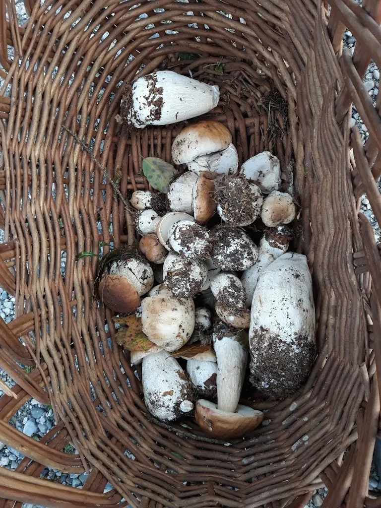 Menu_Rifugio Piardi al Colle San Zeno_Pezzaze_image_5