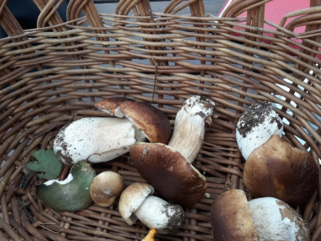 Menu_Rifugio Piardi al Colle San Zeno_Pezzaze_image_9