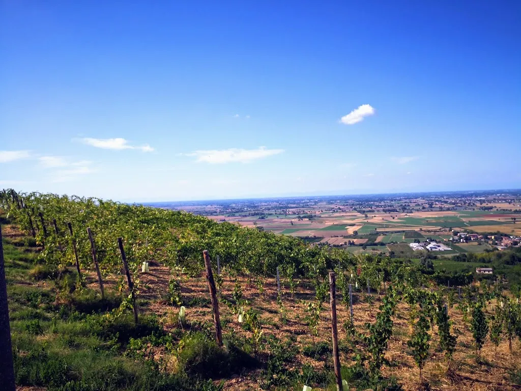 Paul Hutchinson_700 Enolocanda_Pietra de' Giorgi_review