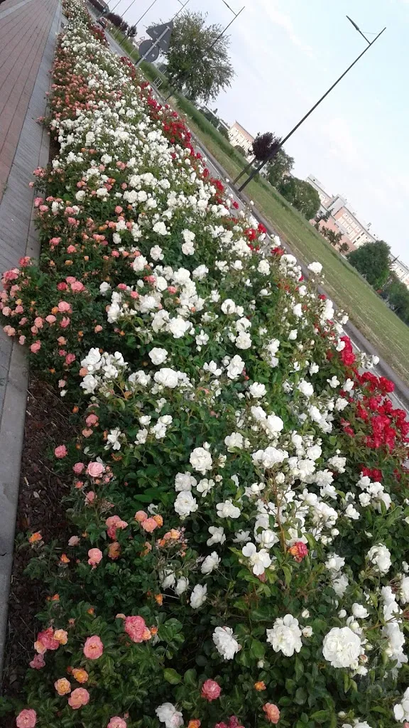 La Briciola_Pieve di Coriano_slider_image_2