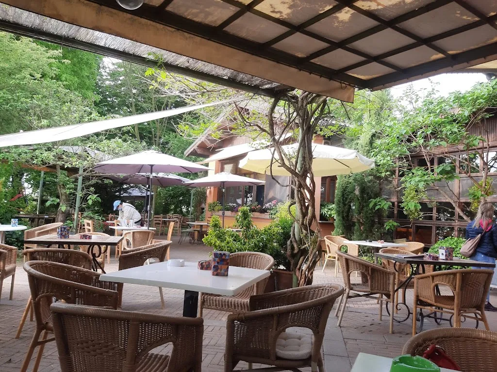 Stella | Bar Ristorante restaurant in Pieve del Cairo