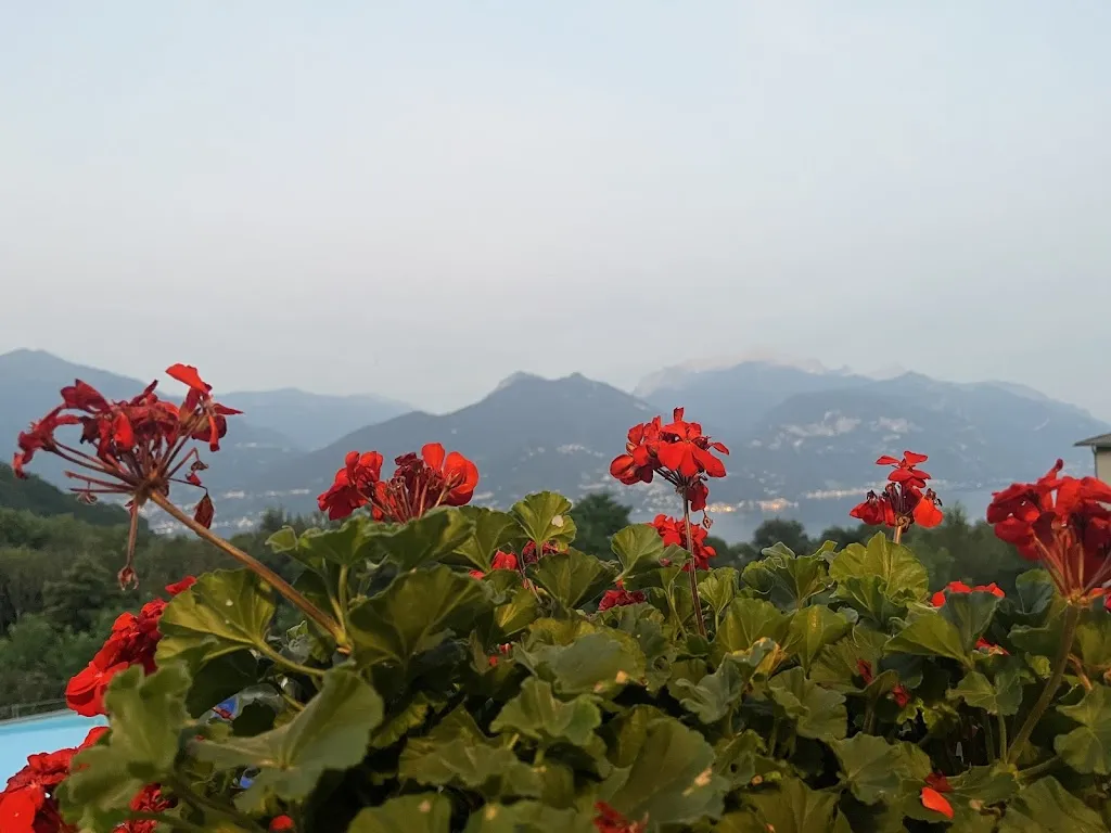 Dávid Pogonyi_Restaurant @ La Sorgente_Plesio_recensione