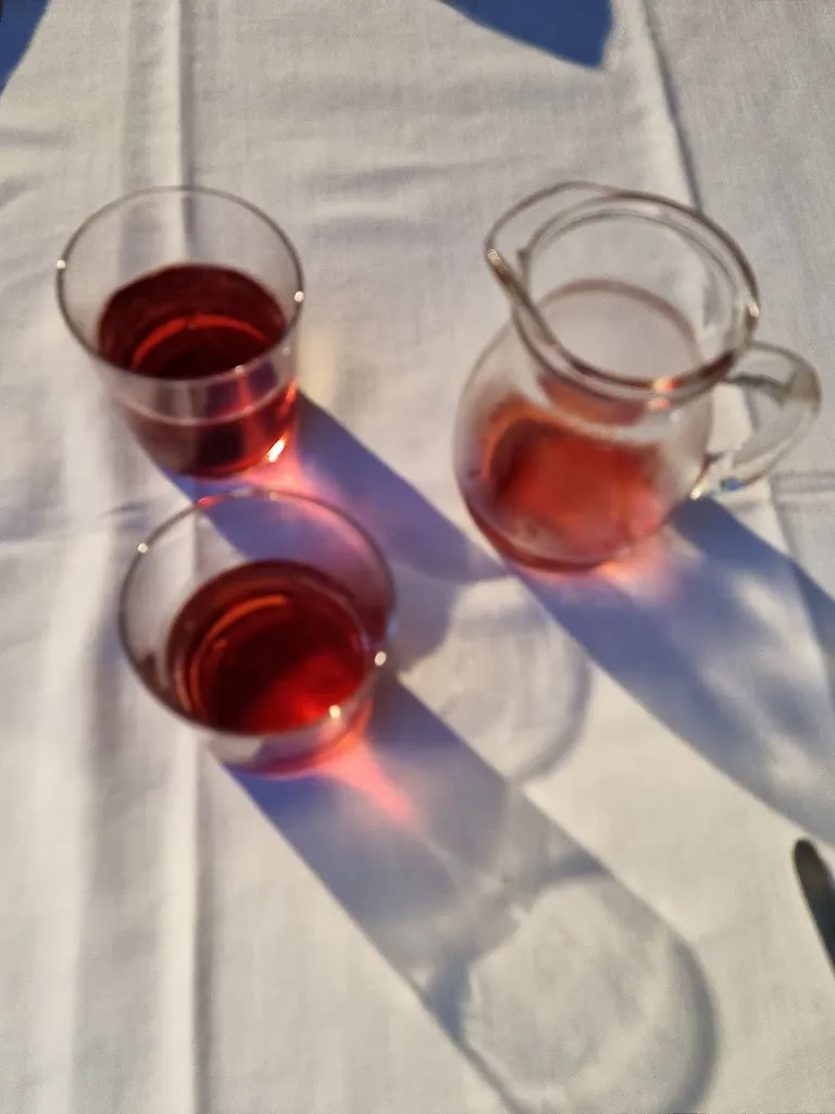 Menu_Pizzeria Trattoria Il Giardino_Pizzighettone_image_7