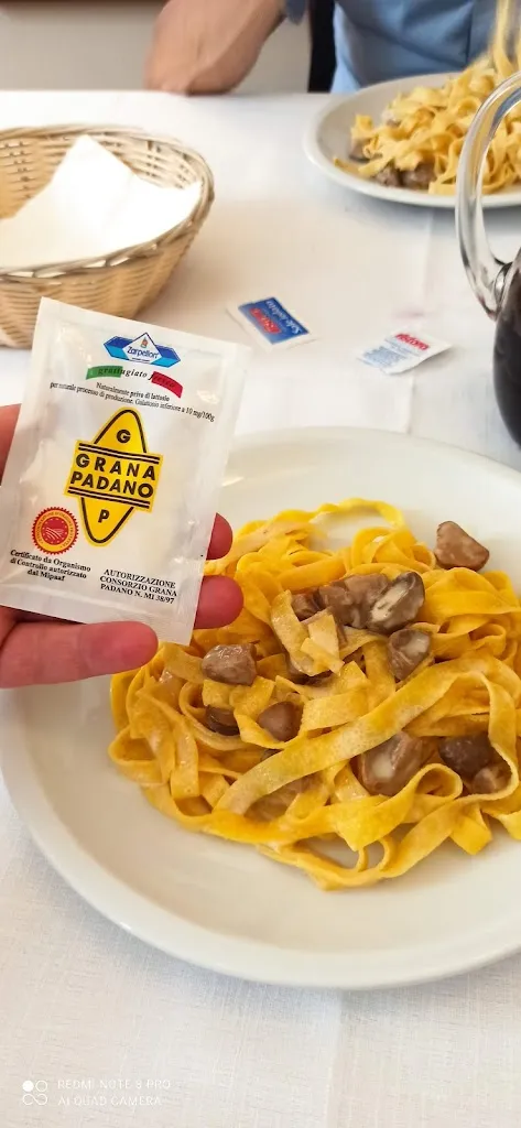 giuseppe romano_Pizzeria Trattoria Il Giardino_Pizzighettone_review