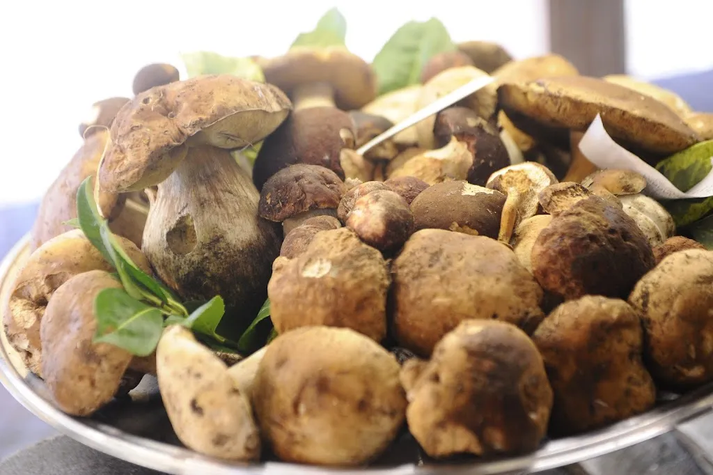 Menu_Meriggi Gastronomica_Poasco-Sorigherio_image_6