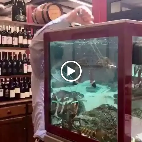 Ai Due Orsi_Poasco-Sorigherio_slider_image_2