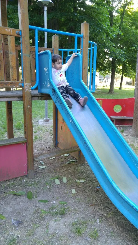 Pizzeria D' Asporto Il Monello Di Malavasi Massimo restaurant in Poggio Rusco