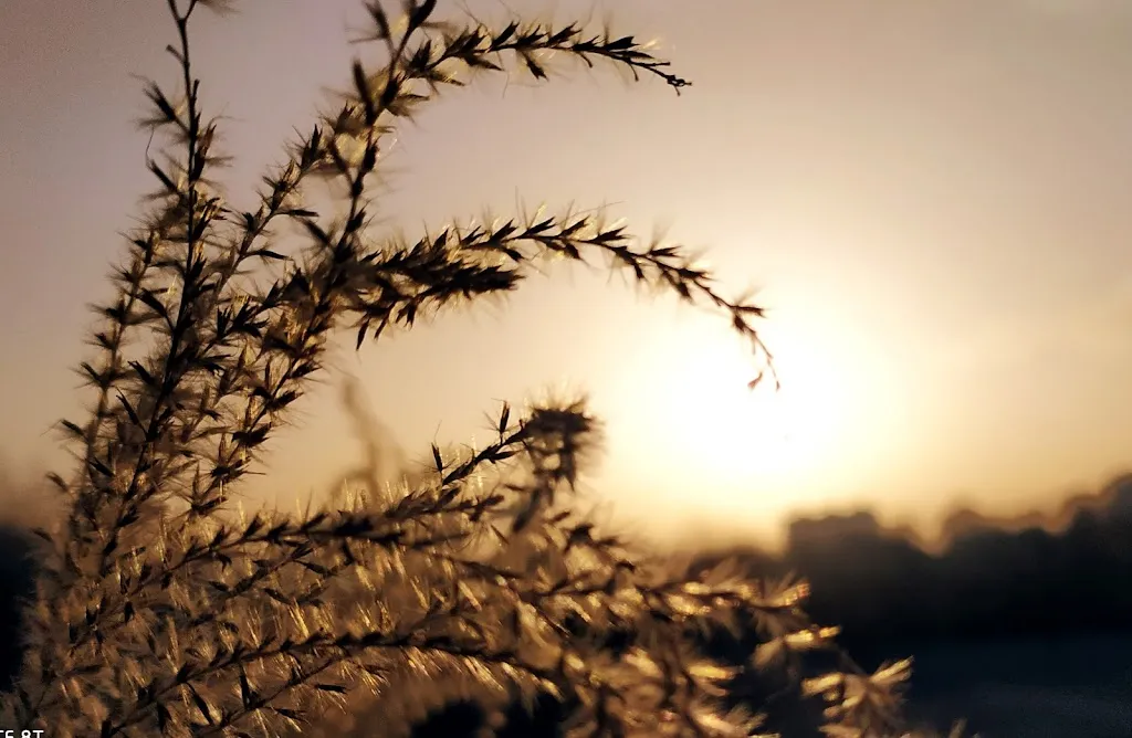 Margarita Skryabina_Trattoria Della Nonna_Poncarale_review