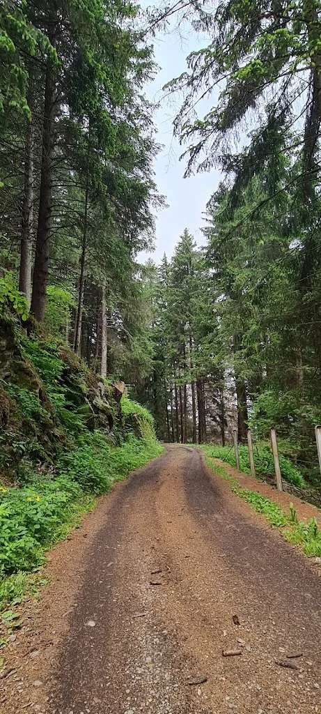 Mario Corno_Dosso del Grillo_Ponte in Valtellina_review